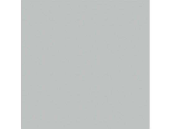 PC CARPENTER PEARL 30x60 (23 m2)