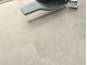 HARDY TORTORA 30x60