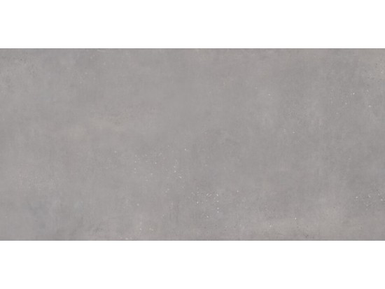 ARTECH GREIGE 60x120
