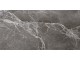 EARTHSTONE GRAPHITE 60x120