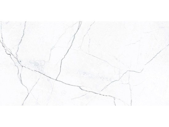 ELEGANCE MARBLE WHITE 60x120