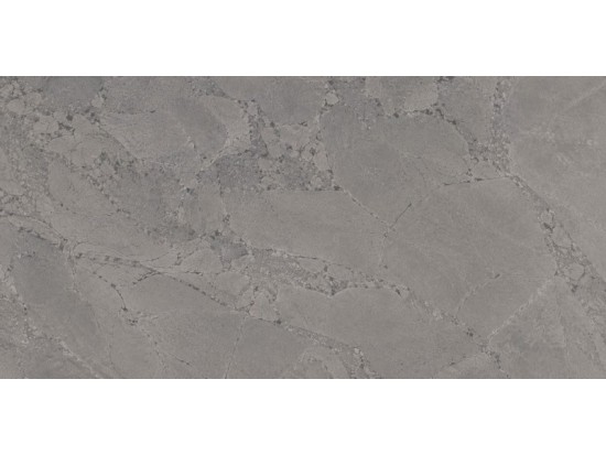 JURASSIC GREY 60x120