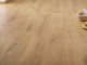 EICHE 20x120