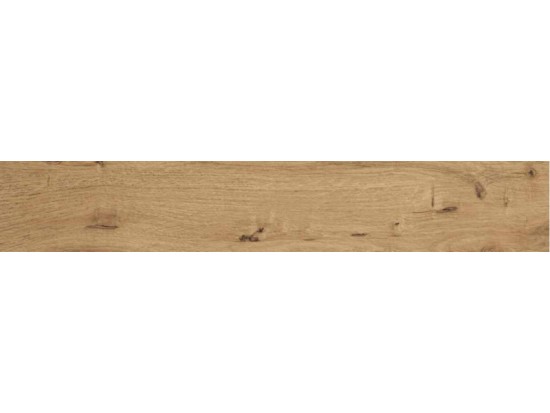 EICHE 20x120