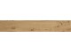 EICHE 20x120