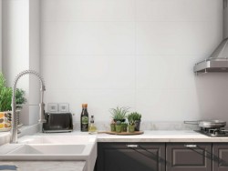 HALCON BLANCO BRILLO 20x60