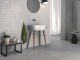 SCENE GREY 30x60
