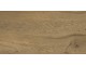 OLIVO MIEL 60x120