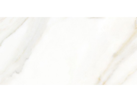 SAN CARLO 60x120