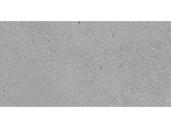 BRIGHTON 20 GREY 60x120