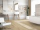 ANTHOLOGY CAMELOT 20x60