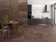 PENZA OXIDO 60x60