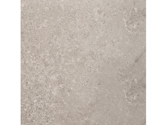 ROOTS BEIGE 45x45