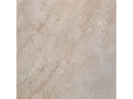 PC ROOTS TAUPE 60x60 (49 m2)