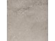 ROOTS BEIGE 45x45
