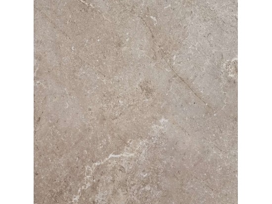 PC ROOTS TAUPE 60x60 (49 m2)