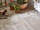 PC WOLFY BEIGE 30x60 (55 m2)